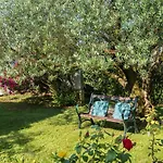 B&B Carmela